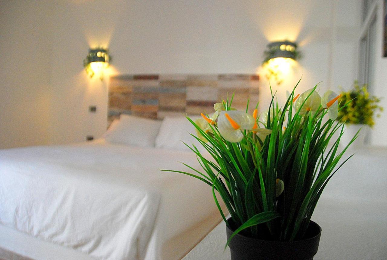 Nuovo Hotel Playa Catalina Ла-Романа Экстерьер фото